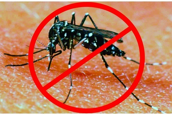 Barretos declara situação de emergência e reforça ações contra o Aedes Aegypti