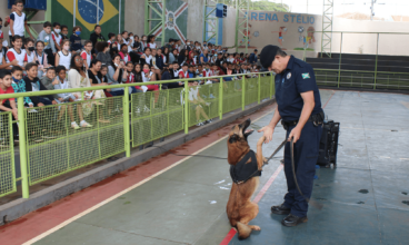 Bebedouro inicia projeto “Canil Guarda Civil”