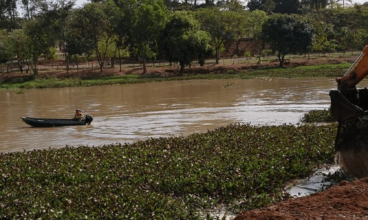 Prefeitura retira aguapés do lago da Avenida Higidio Veraldi