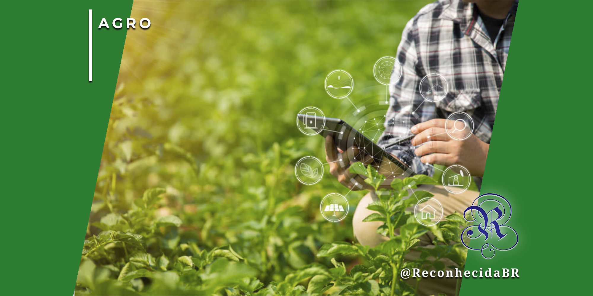 Close-up de um profissional do agronegócio segurando um tablet em uma plantação verde sob a luz do sol. Ícones digitais brancos sobrepostos representam tecnologia agro: conectividade, energia solar, sensores e sustentabilidade. No canto superior esquerdo está o selo 'AGRO' e no inferior direito o logotipo do portal Reconhecida com o @ReconhecidaBR.