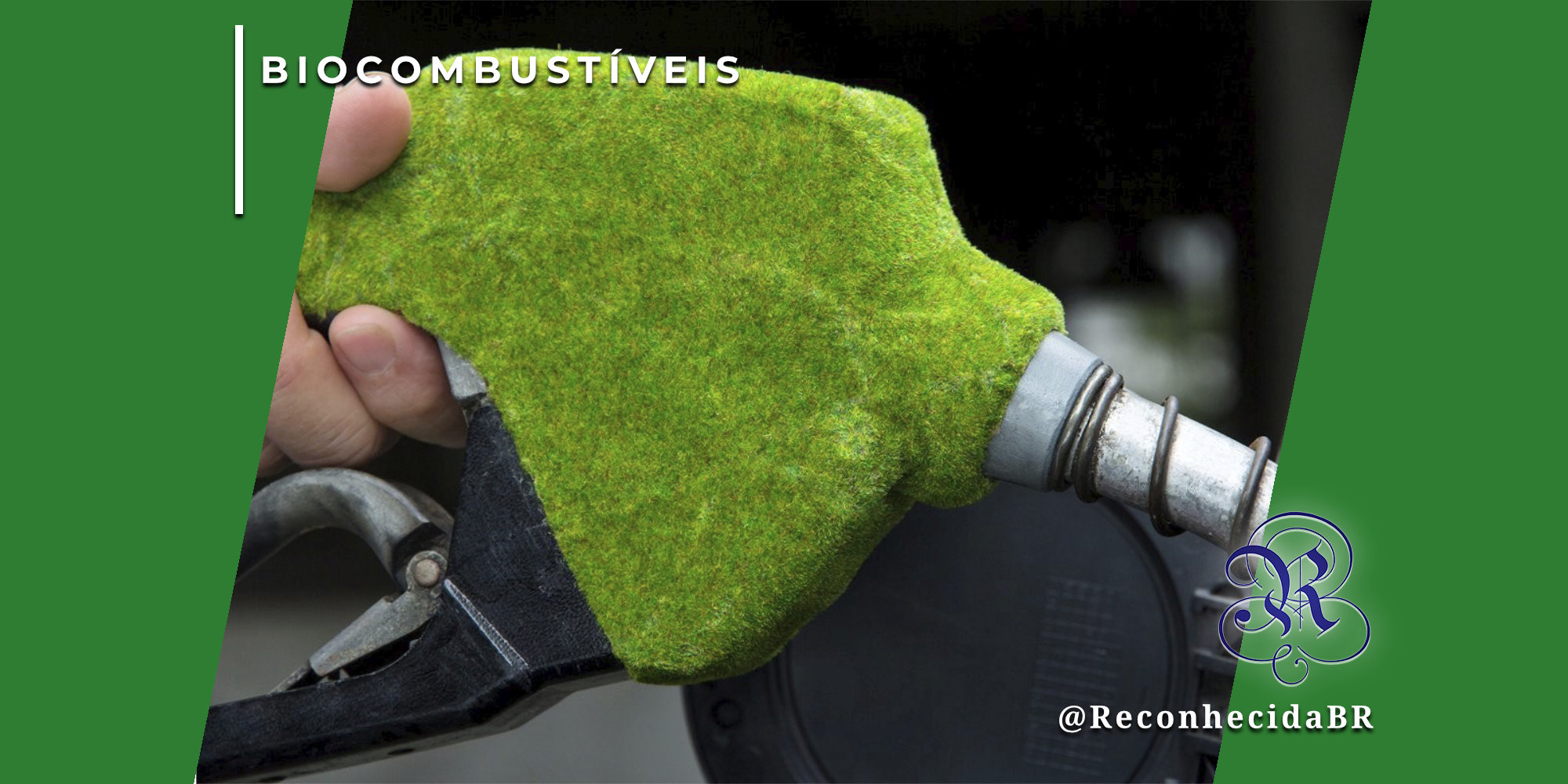 Uma mão segura uma pistola de abastecimento de combustível coberta por uma camada de musgo verde vibrante, simbolizando energia limpa. No canto superior esquerdo, o selo 'BIOCOMBUSTÍVEIS' em fundo branco e, no inferior direito, o logotipo do portal Reconhecida com o @ReconhecidaBR.
